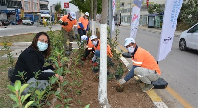 Tarsus’ta da Fidan Dikimi Gerçekleştiriliyor