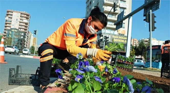 Mersin Büyükşehir, 430 Bin Çiçeği Toprakla Buluşturdu! Bezendiği Çiçeklerle Mersin Hep Güzelsin