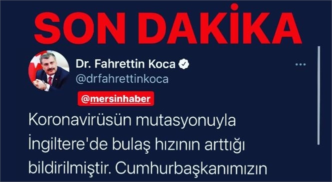 Mutasyona Uğramış Koronavirüs Nedeniyle Bazı Uçuşlar Durdu