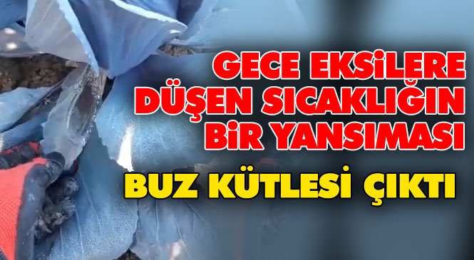 Zirai Don Uyarısının Yapıldığı Mersin'de Sıcaklığın -4 Dereceleri Bulan Gecenin Sabahında Karalahanadan Buz Kütlesi Çıktı