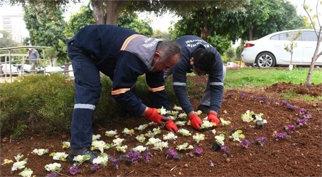 Fidanlık Üretiyor Kent Yeşilleniyor