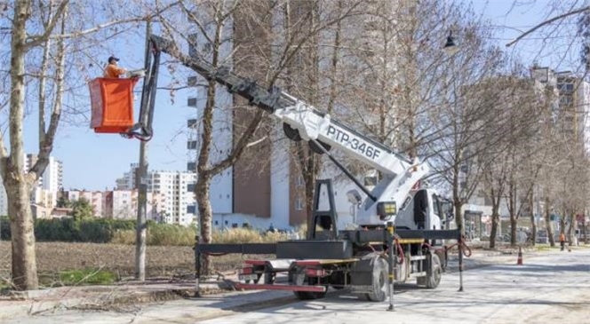 Büyükşehir’den Ağaçlara Bahar Bakımı