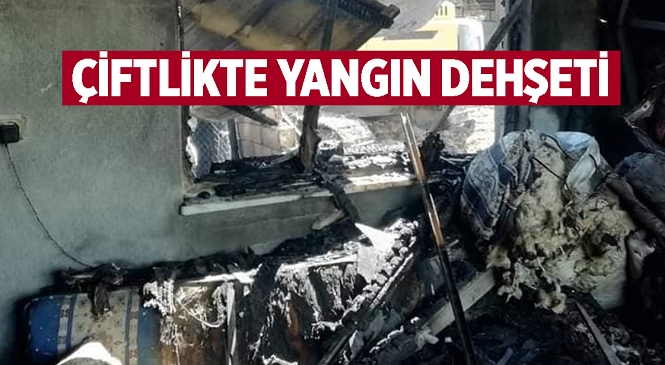 Mersin’in Mut İlçesinde Bir Çiftlikte Çıkan Yangında Büyük Çapta Maddi Hasar Meydana Geldi