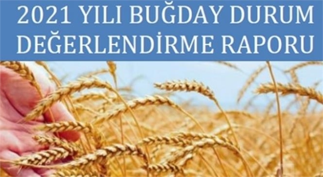 2021 Buğday Beklenti Raporu Borsanın Web Sayfasında Sunuldu