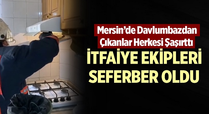 Mersin’in Silifke İlçesinde Davlumbaza Giren Yarasaları İtfaiye Ekipleri Çıkardı