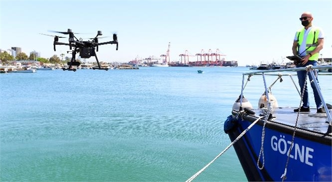 Mersin Büyükşehir’le Deniz Temizlendi, Deniz Kaplumbağası ve Denizatı Yeniden Görülmeye Başladı