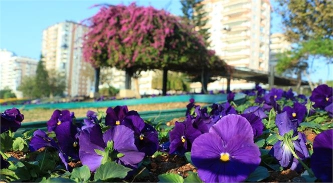 Mersin Kentsel Açık ve Yeşil Alanlar Stratejik Eylem Planı Hazırlanıyor! Kent Peyzajı İçin Mersin Büyükşehir İle Mersin Üniversitesi Arasında Anlamlı İş Birliği