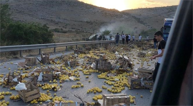 Mersin Tarsus Otoyolunda Limon Yüklü Kamyonun Devrilmesi Sonucu Kasalarca Limon Yola Saçıldı