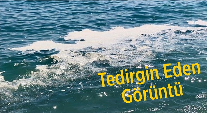 Mersin'in Tece Sahilinde Görülen Görüntüler Vatandaşları Tedirgin Etti