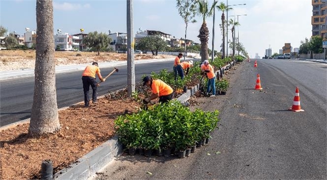 Büyükşehir’den Mevsimlik Çiçek Dikimi Öncesi Hazırlık