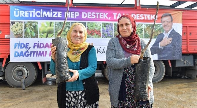 Mersin Büyükşehir’den Erdemli ve Toroslar’daki Üreticilere Ceviz Fidanı