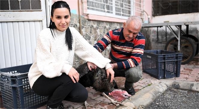 Mersin Büyükşehir, Sema Nur Doğan’ın Hindi Talebini Yerine Getirdi