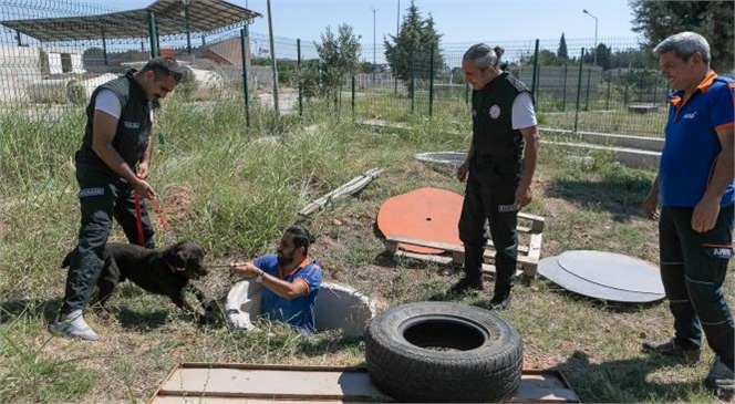 Mersin Büyükşehir’e Ait K9’lar Ciddi ve Başarılı İşler Çıkarıyor