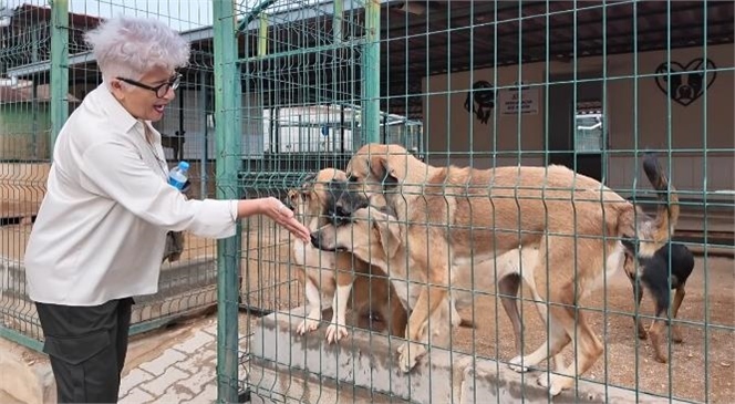 KADIN DERNEKLERİ’NDEN KAŞLI GEÇİCİ HAYVAN BAKIMEVİ’NE TAM NOT