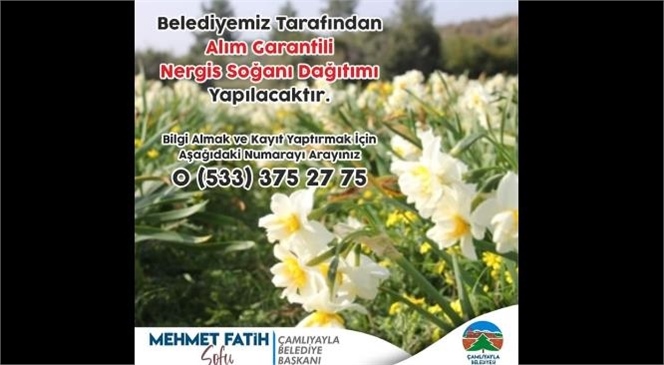 ÇAMLIYAYLA BELEDİYESİ'NDEN ÜRETİCİYE NERGIZ SOĞANI DESTEĞİ