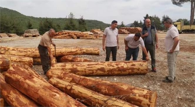 BÖLGE MÜDÜRÜ ATAŞ, TARSUS'TA İNCELEMELERDE BULUNDU