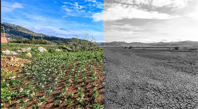 BÜYÜKŞEHİR, ‘SÜRDÜRÜLEBİLİR ENERJİ VE İKLİM EYLEM PLANI’NI HAZIRLADI